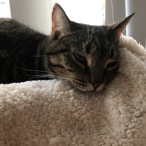 Meet your Posher, Marissa